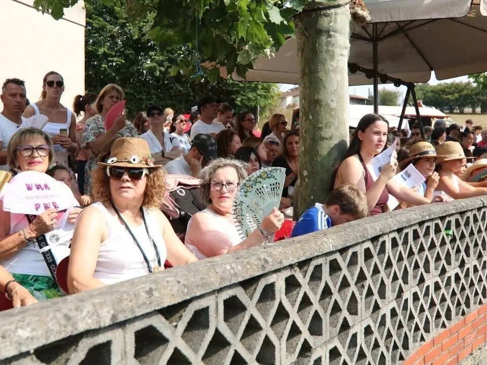 Carrozas-Valdesoto (4)