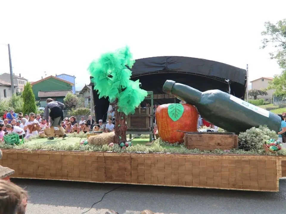 Carrozas-Valdesoto (10)