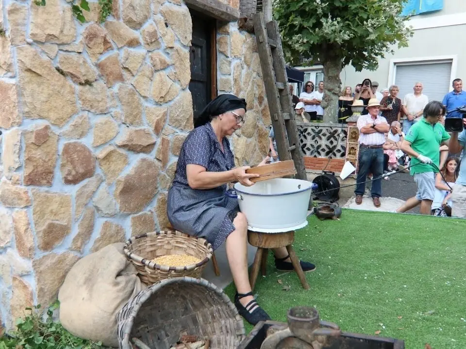 Carrozas-Valdesoto (15)