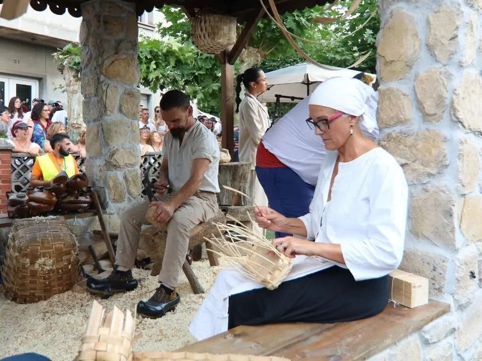 Carrozas-Valdesoto (17)