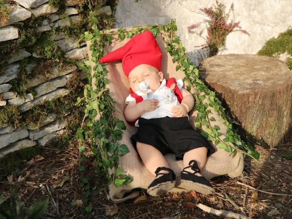 Carrozas-Valdesoto (85)