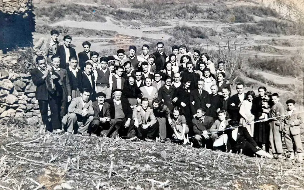 boda-viboli-ponga-anos-60