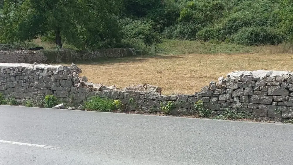 muro-bosque-bus-alsa