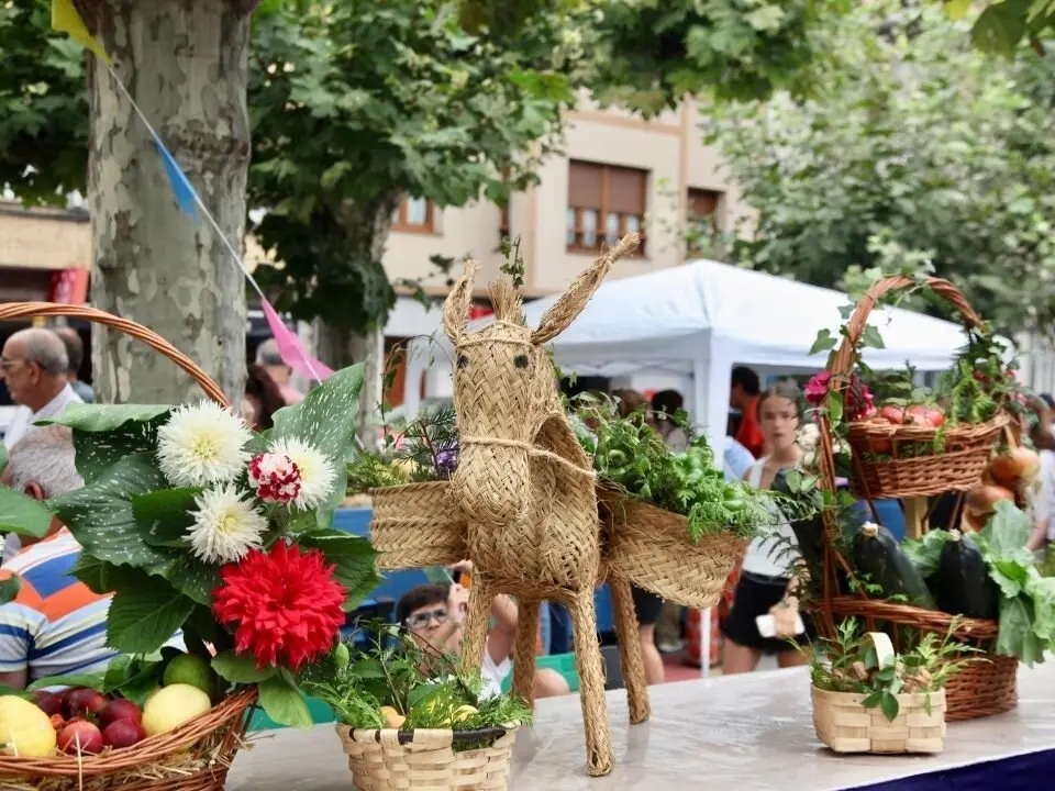 certamen-huerta-sidra-llanes (5)