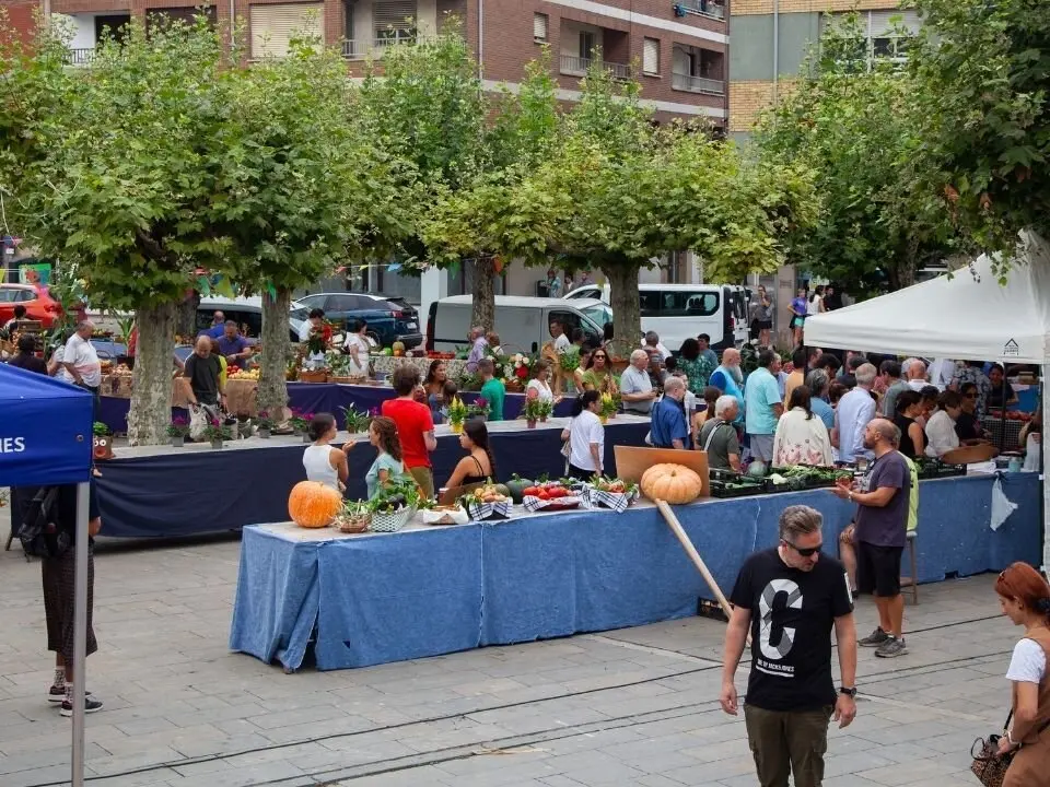 certamen-huerta-sidra-llanes (6)
