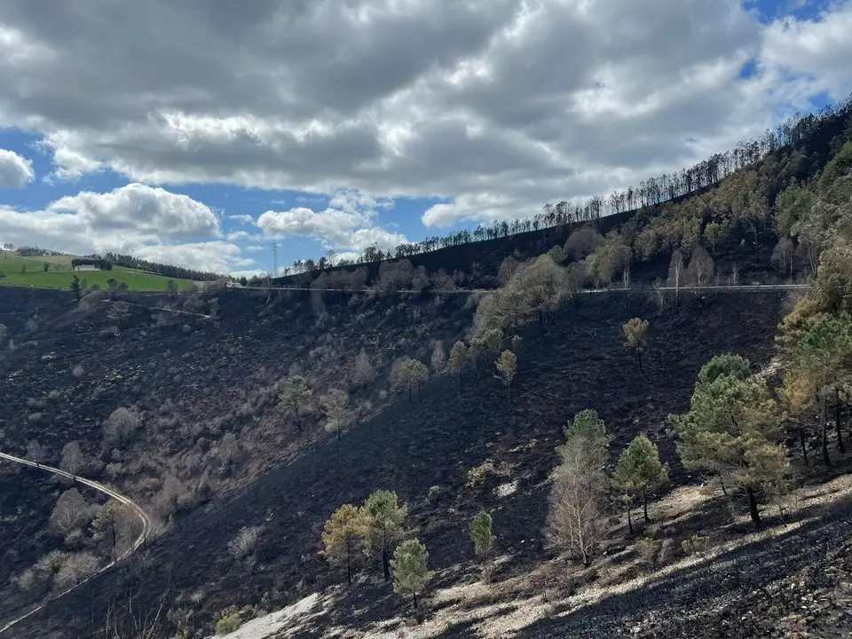 Los incendios en Asturias pueden interferir en las tramitaciones de la PAC