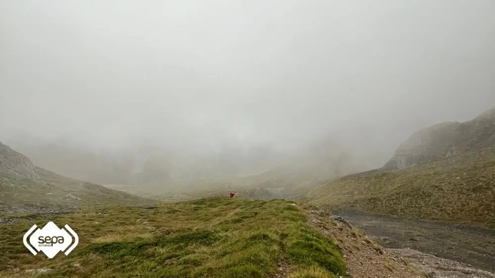 Made with LogoLicious Add Your Logo App