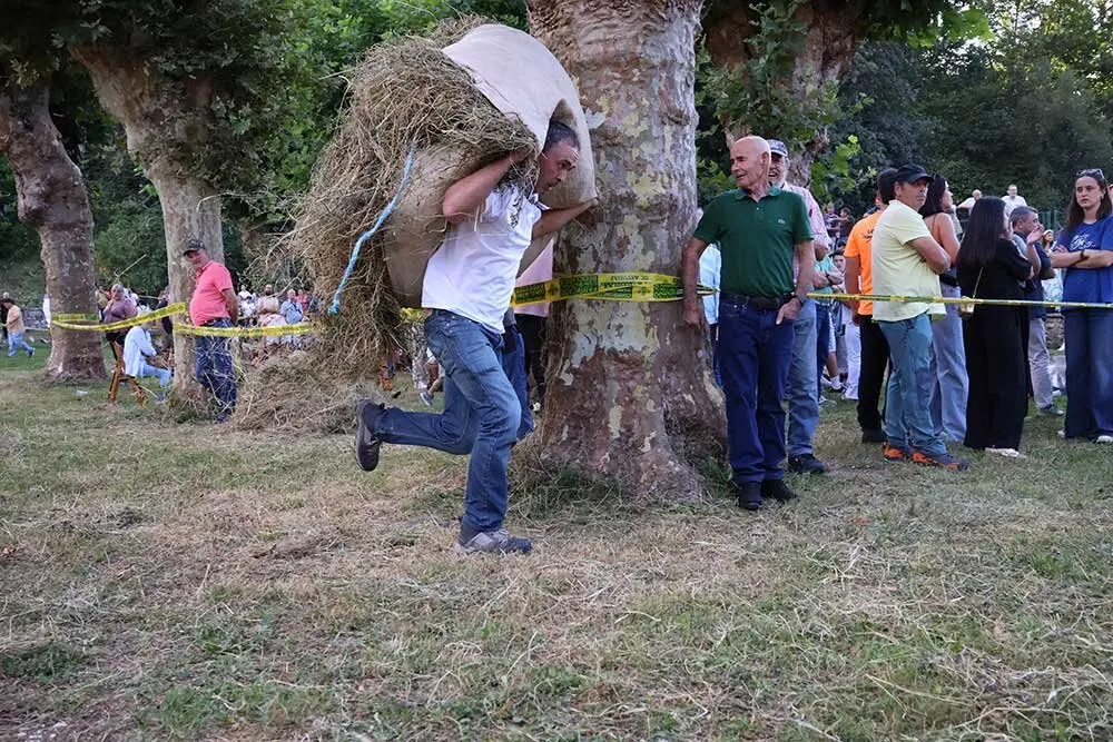 juegos-segador-2025-01