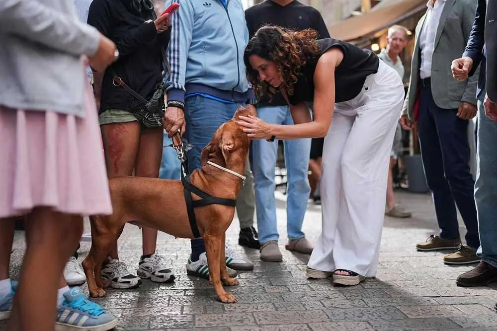ayuso-llanes-premio-tomas-antuna-01
