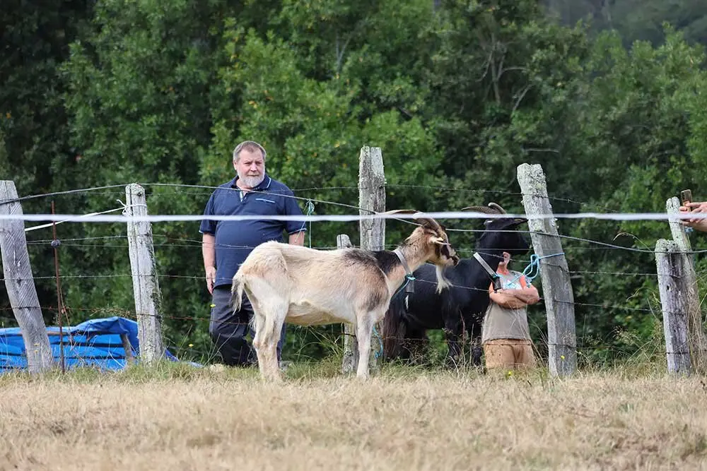 feria-libardon-2025-02