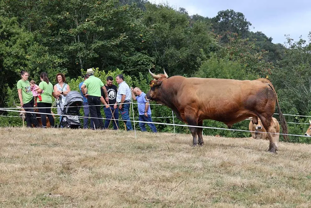 feria-libardon-2025-05