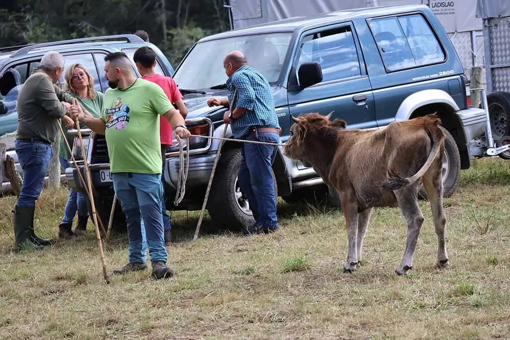 feria-libardon-2025-010