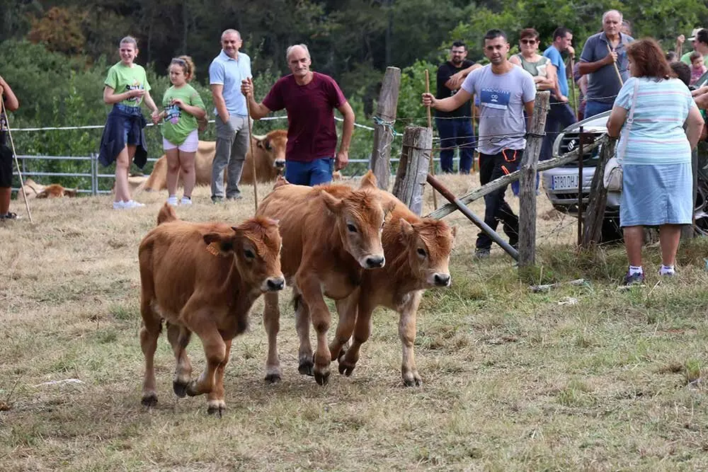 feria-libardon-2025-012