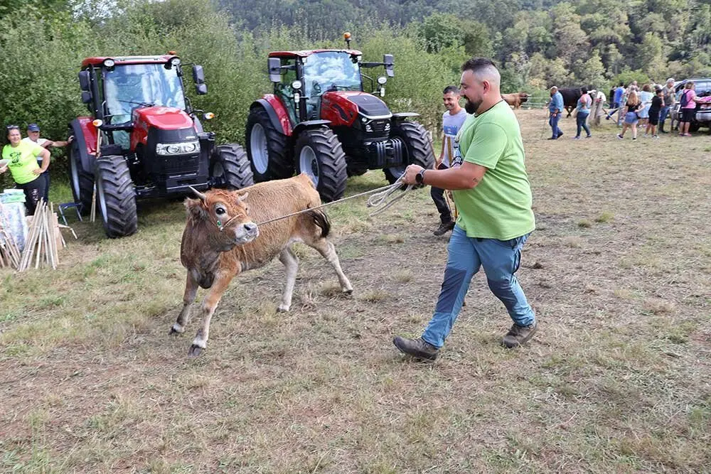 feria-libardon-2025-014