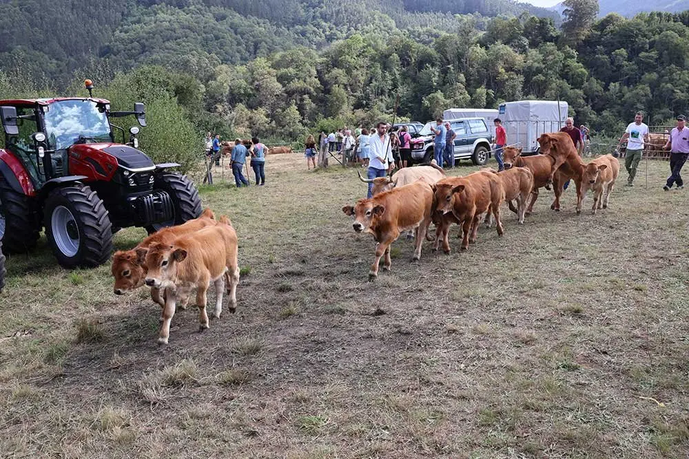 feria-libardon-2025-015