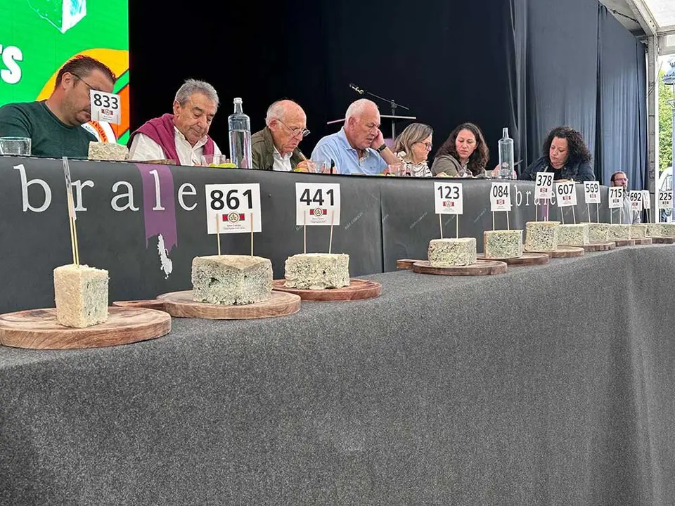 certamen-cabrales-2025-01