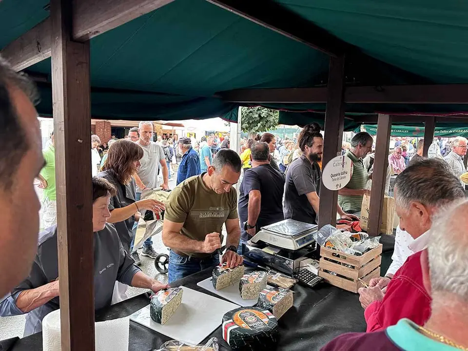 certamen-cabrales-2025-010