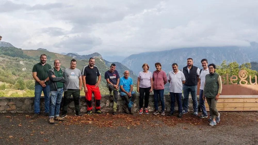 ganaderia-lineas-electricas-cabrales