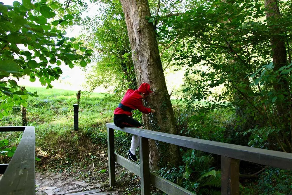 dia-asturias-sariego-01