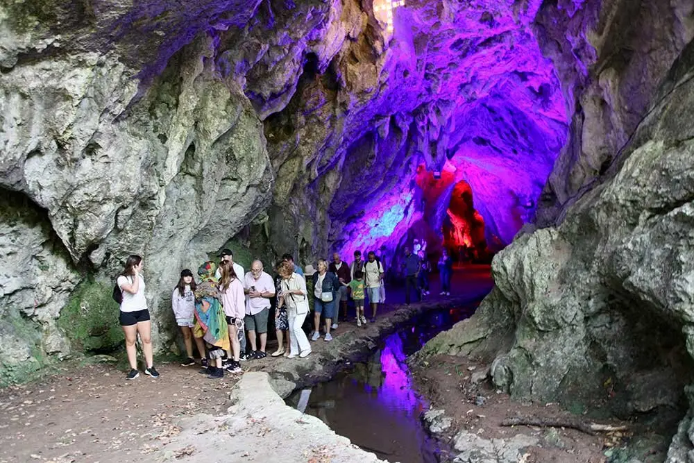 dia-asturias-sariego-024