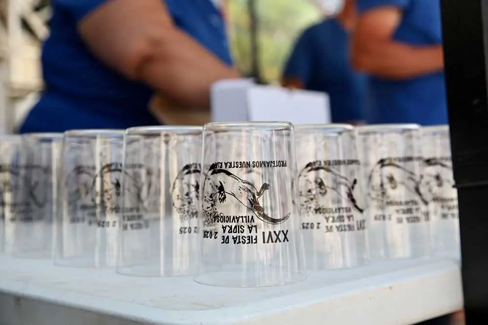 fiesta-sidra-villaviciosa-2025-045