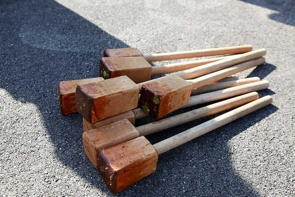 dia-asturias-colunga-muja-04