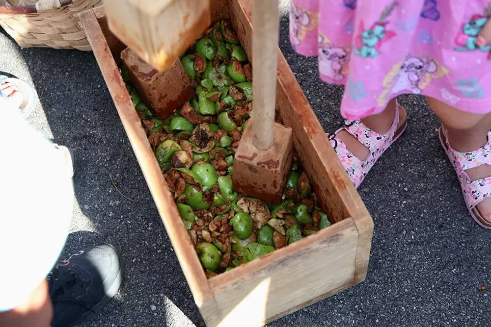 dia-asturias-colunga-muja-013