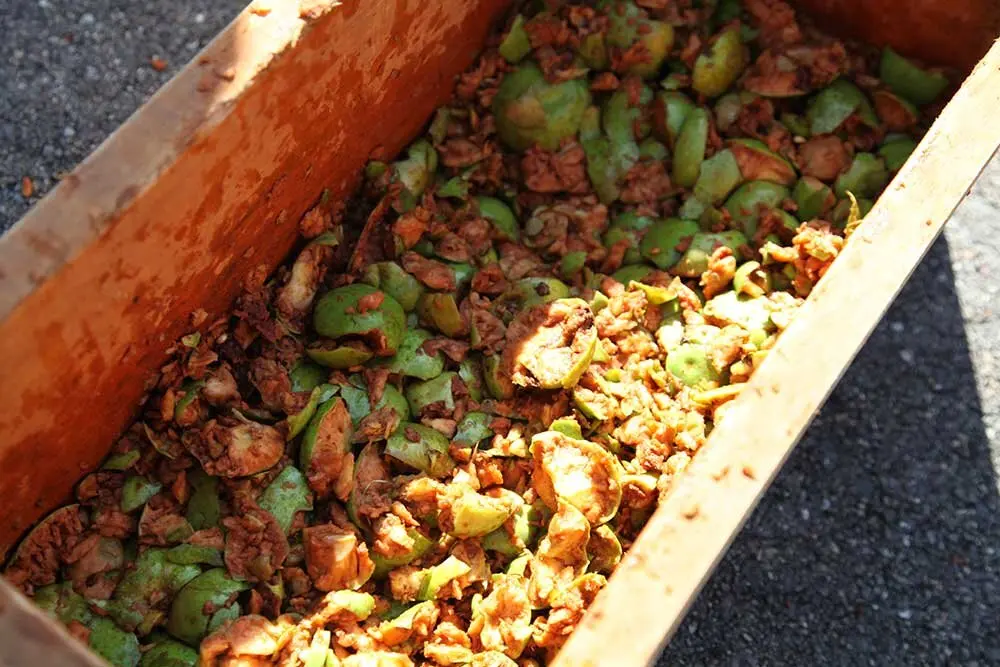 dia-asturias-colunga-muja-014