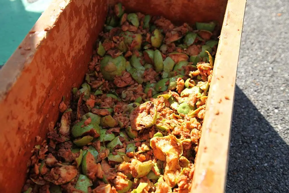 dia-asturias-colunga-muja-015