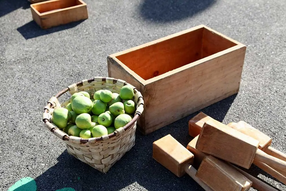 dia-asturias-colunga-muja-017