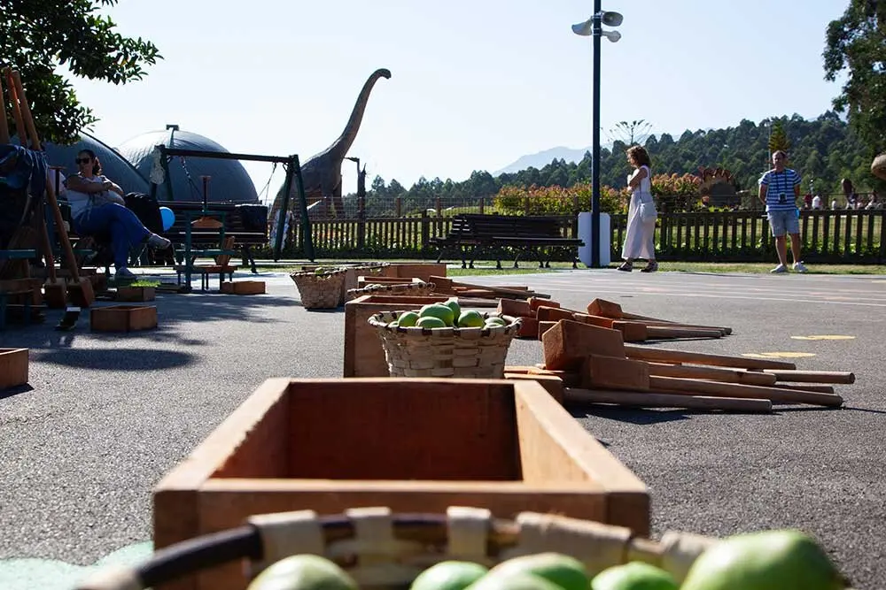 dia-asturias-colunga-muja-018