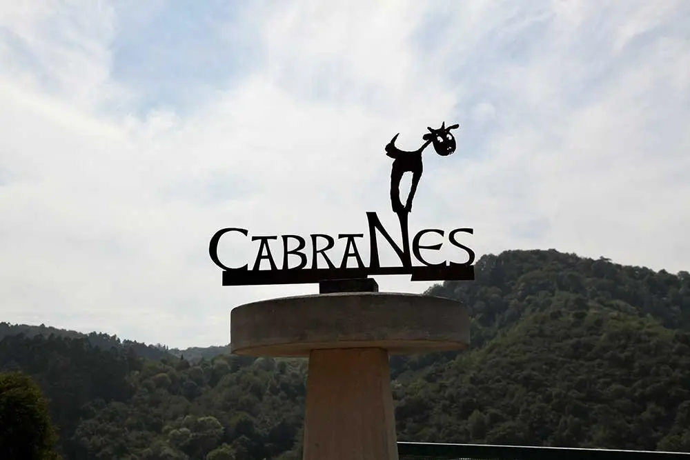 dia-asturias-cabranes-013