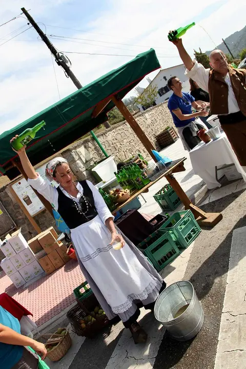 dia-asturias-cabranes-016