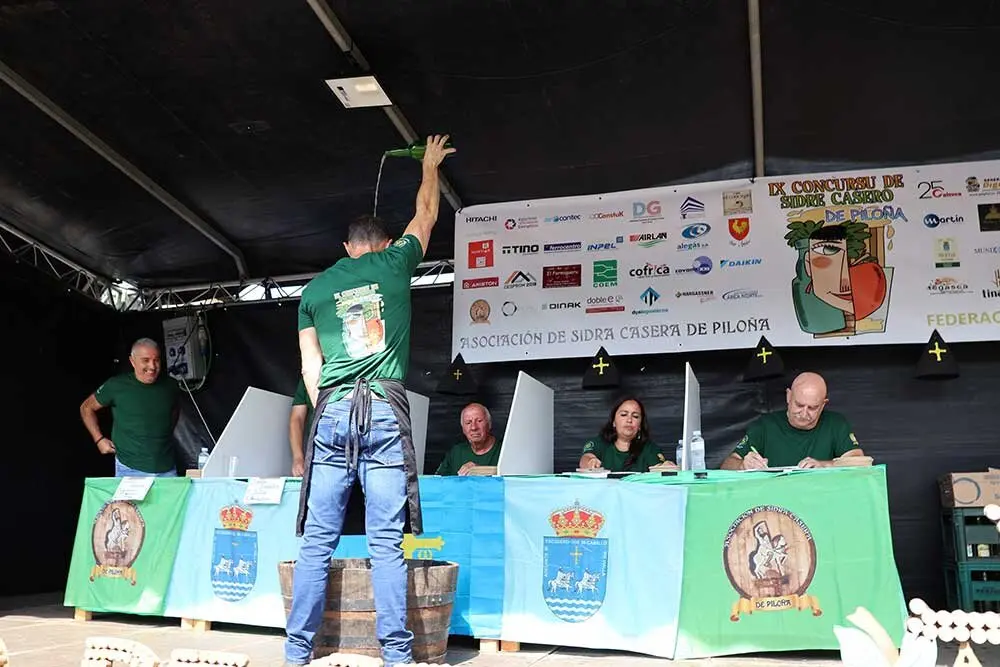 sidra-casera-pilona-017