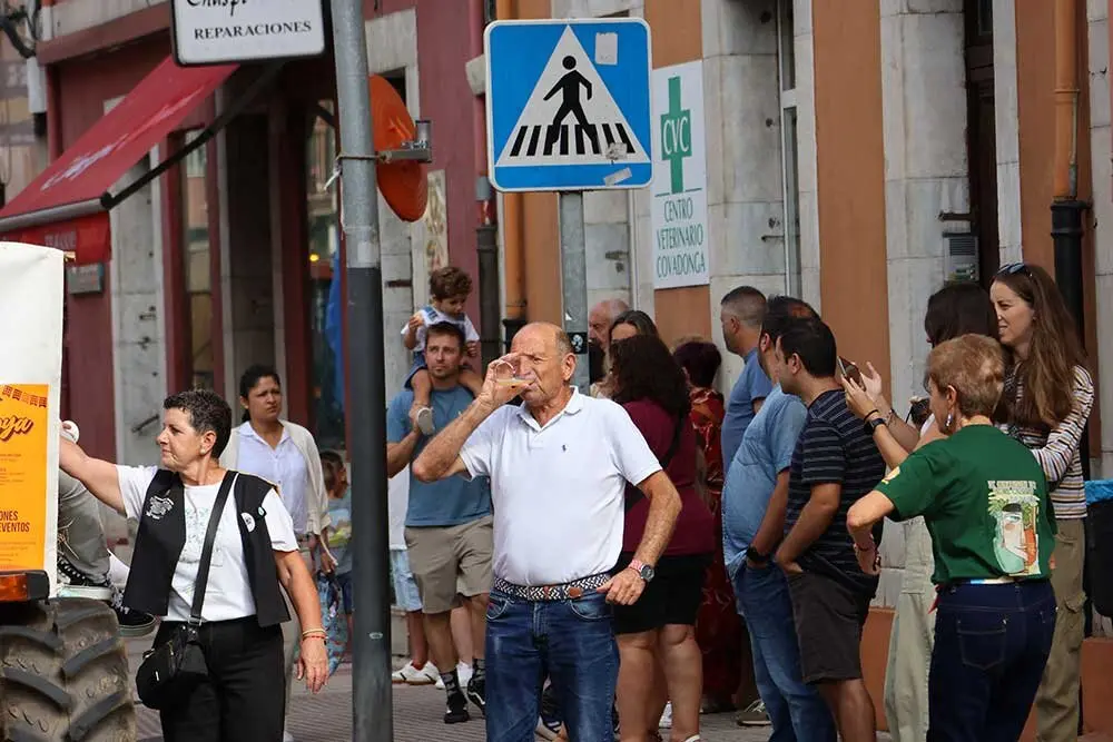 sidra-casera-pilona-023