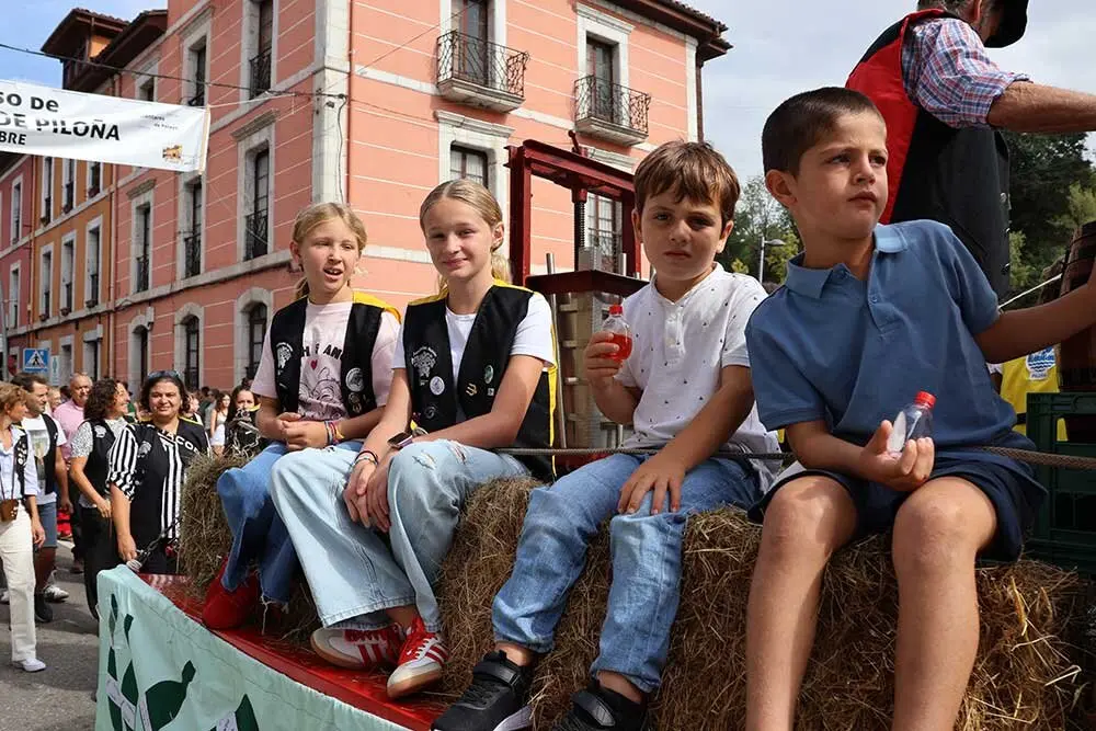 sidra-casera-pilona-024