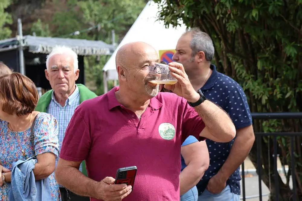 sidra-casera-pilona-027