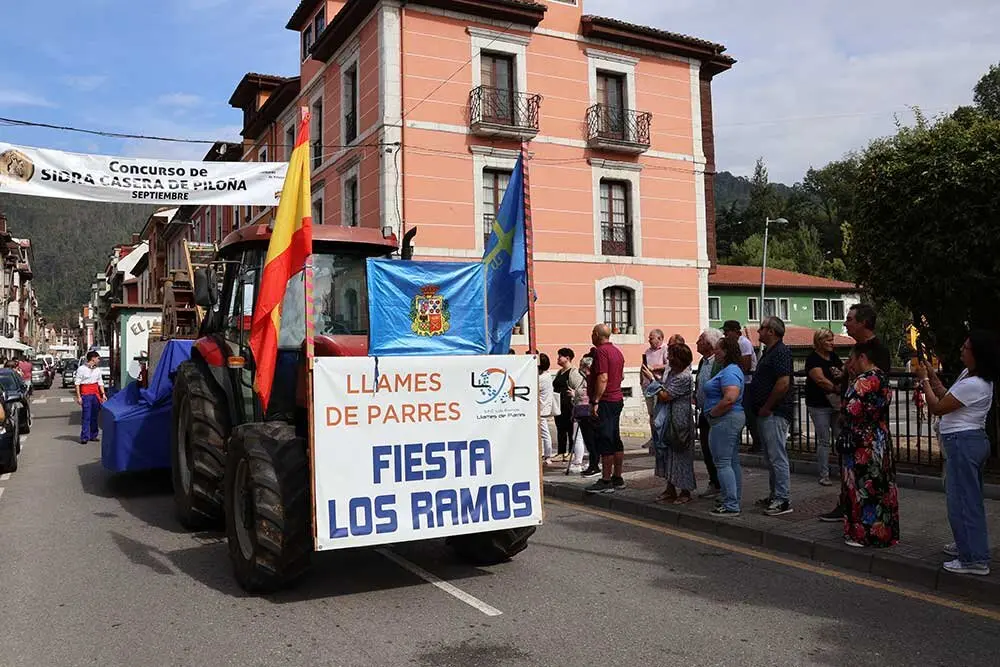 sidra-casera-pilona-028