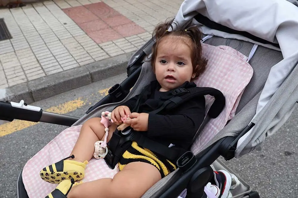 sidra-casera-pilona-039