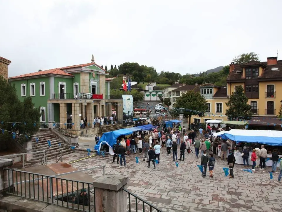 dia-asturias-nava (2)