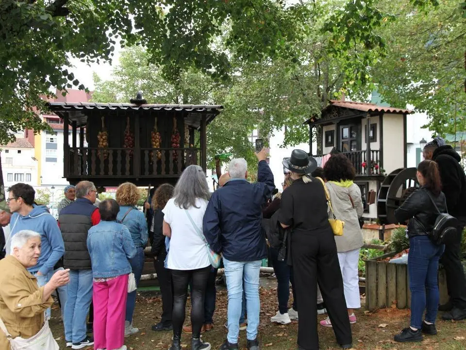 dia-asturias-nava (5)