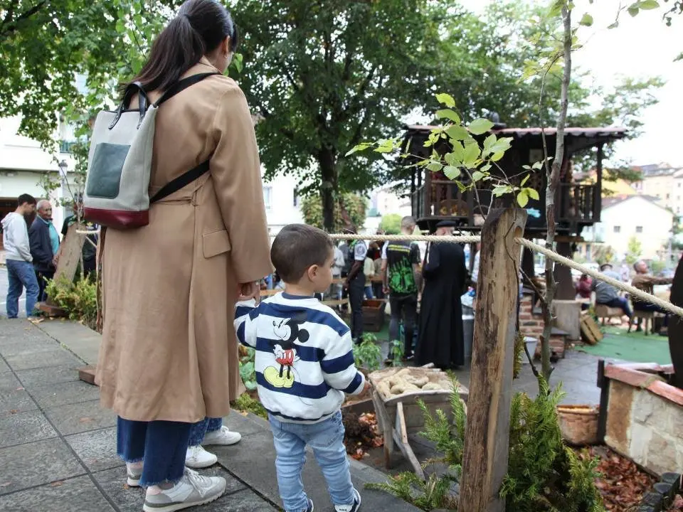 dia-asturias-nava (8)