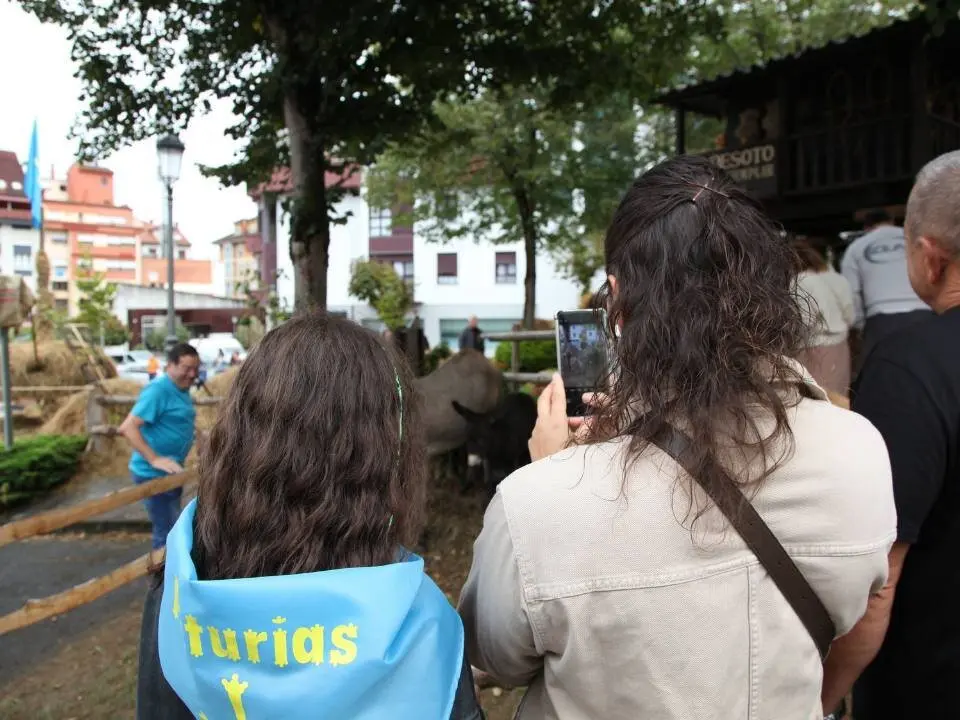 dia-asturias-nava (12)