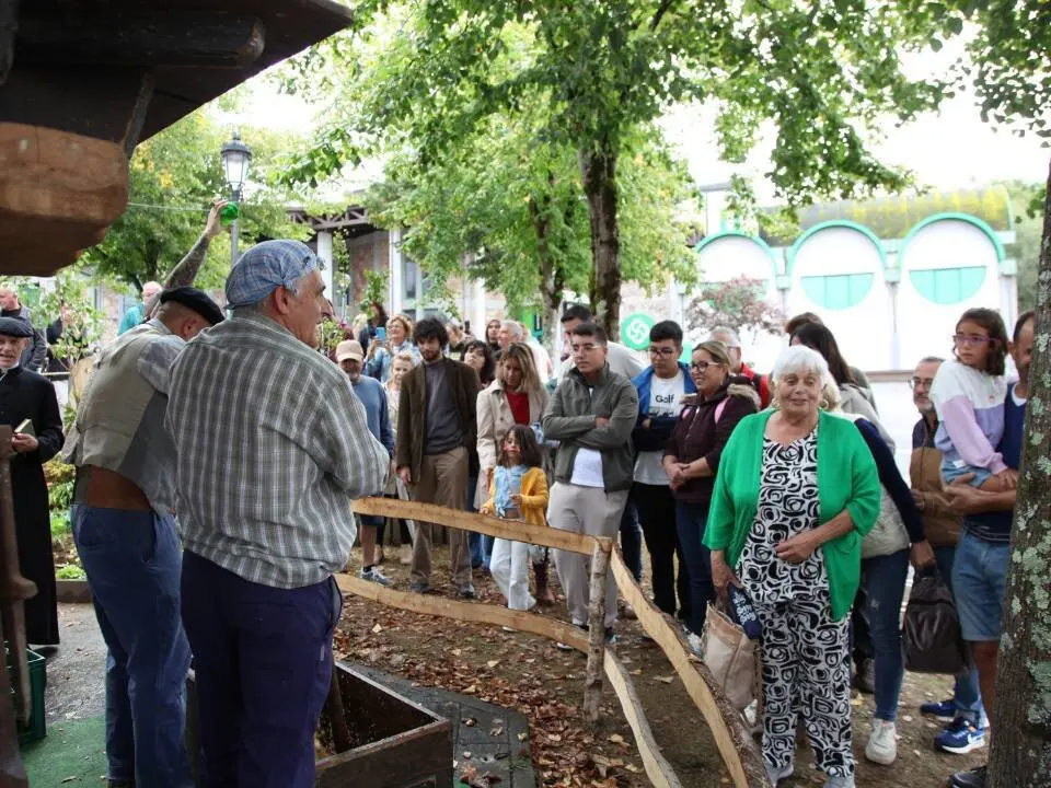 dia-asturias-nava (14)