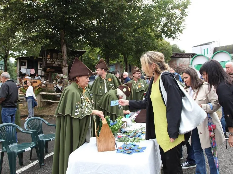 dia-asturias-nava (15)