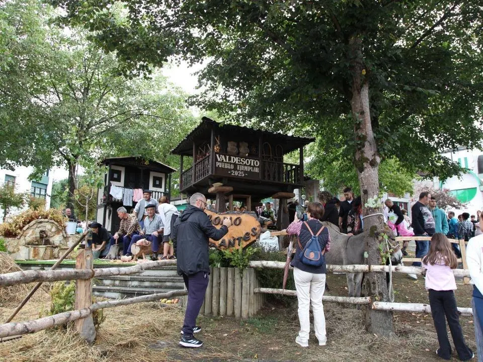 dia-asturias-nava (16)