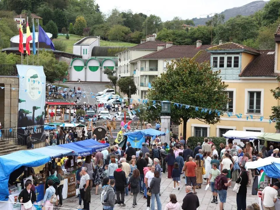 dia-asturias-nava (24)