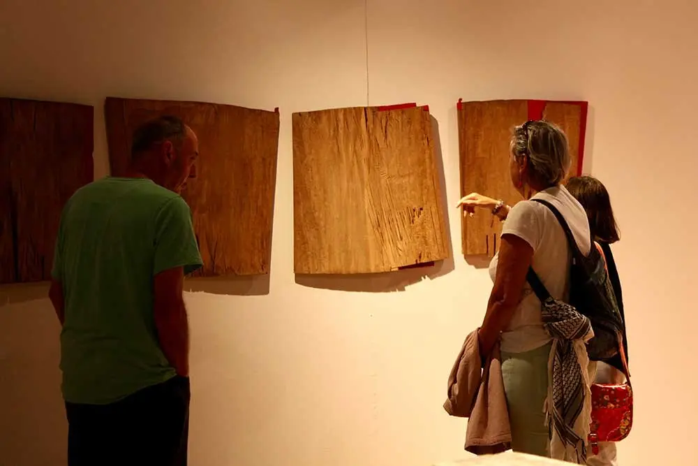 exposicion-anaglypho-villaviciosa-012