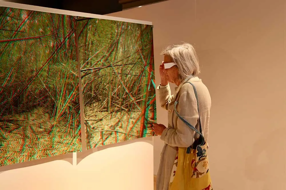 exposicion-anaglypho-villaviciosa-020