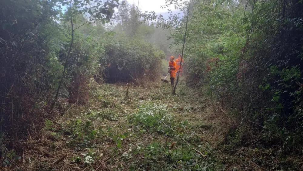 actuaciones-prevencion-indencios-llanes